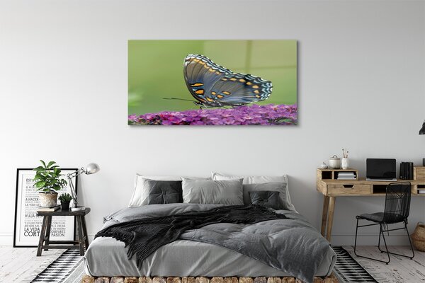 Tablouri pe sticlă fluture colorat pe flori