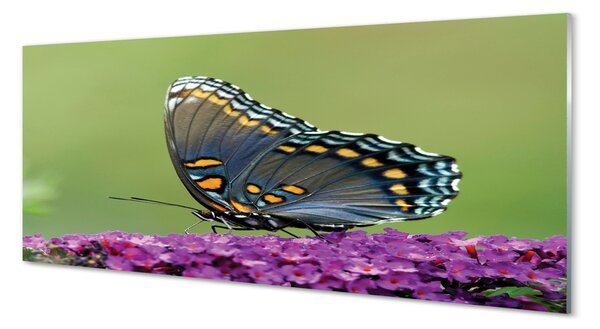 Tablouri pe sticlă fluture colorat pe flori