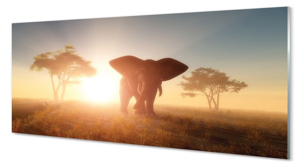 Tablouri pe sticlă Elephant copac est