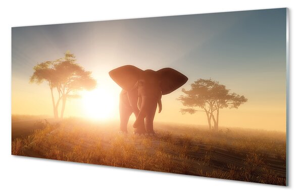 Tablouri pe sticlă Elephant copac est