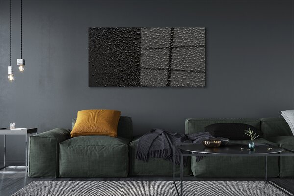 Tablouri pe sticlă Picături de rouă de apă