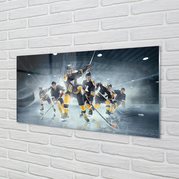 Tablouri pe sticlă Hochei