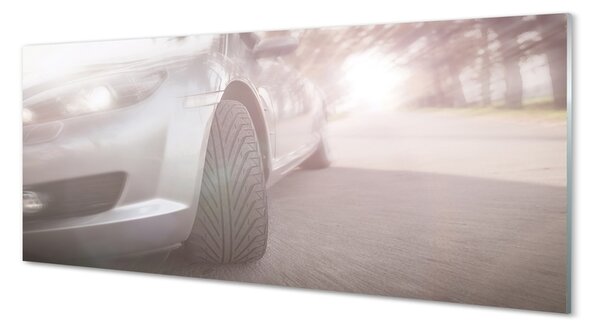 Tablouri pe sticlă Argint copac stradă auto