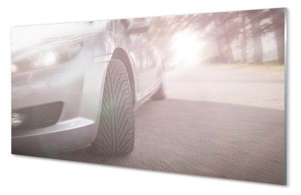 Tablouri pe sticlă Argint copac stradă auto