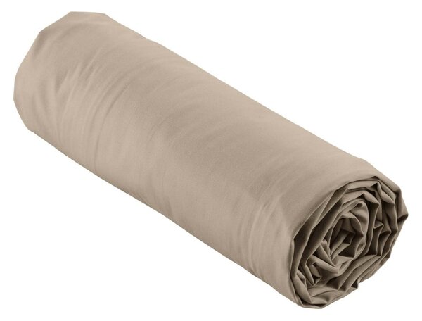 Cearceaf maro deschis din bumbac percal cu elastic 160x200 cm Percaline – douceur d'intérieur