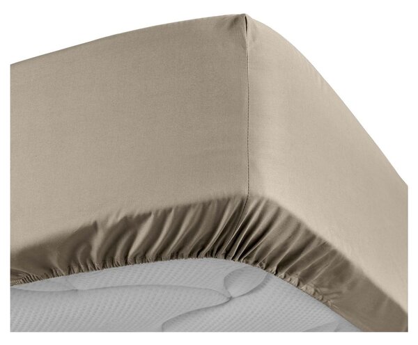 Cearceaf maro deschis din bumbac percal cu elastic 160x200 cm Percaline – douceur d'intérieur