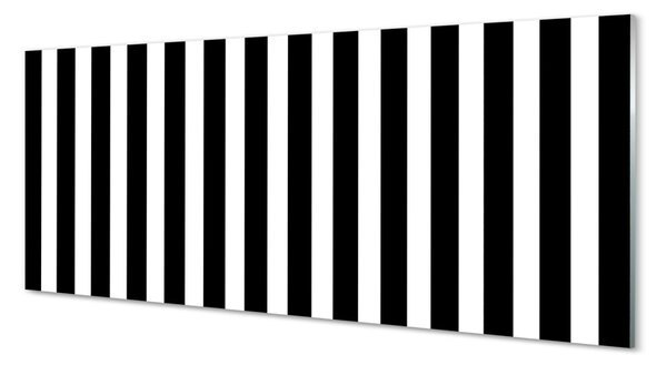 Panouri de sticlă dungi zebră geometrice