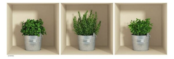 Set 3 autocolante cu efect 3D Ambiance Herbs in Pot