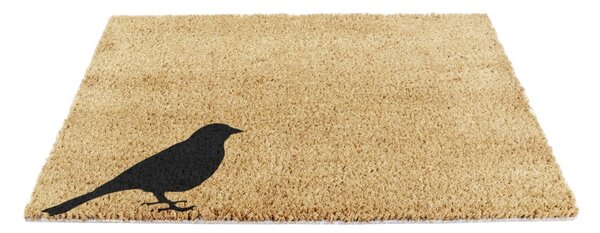 Covoraș de intrare din fibre de nucă de cocos 40x60 cm Bird – Artsy Doormats