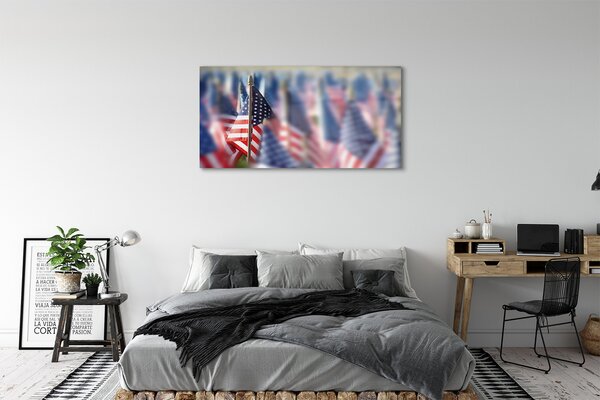 Tablouri pe sticlă Statele Unite ale Americii flag