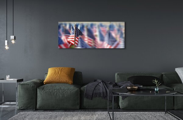 Tablouri pe sticlă Statele Unite ale Americii flag