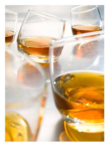 Pahare 6 buc. de whiskey 200 ml Rocking Whiskey – Sagaform