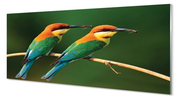 Tablouri pe sticlă papagal colorat de pe o ramură