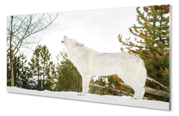 Panouri de sticlă pădure de iarnă Wolf