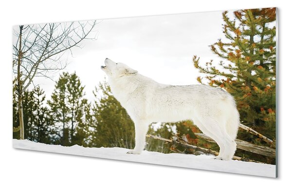 Tablouri pe sticlă pădure de iarnă Wolf