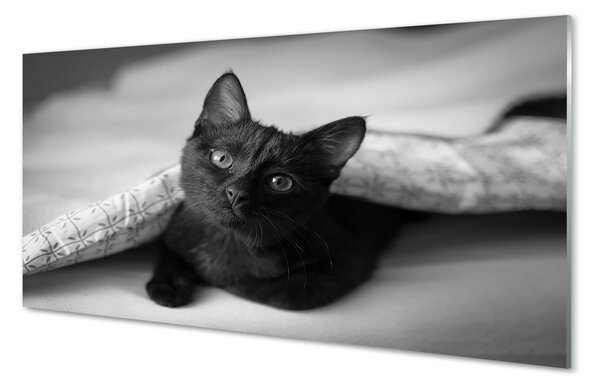 Tablouri pe sticlă Cat sub pătură