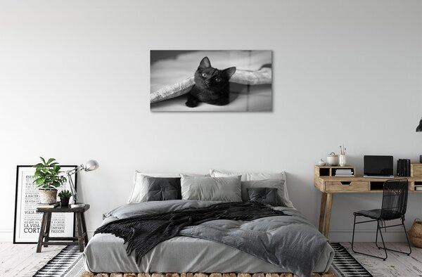 Tablouri pe sticlă Cat sub pătură