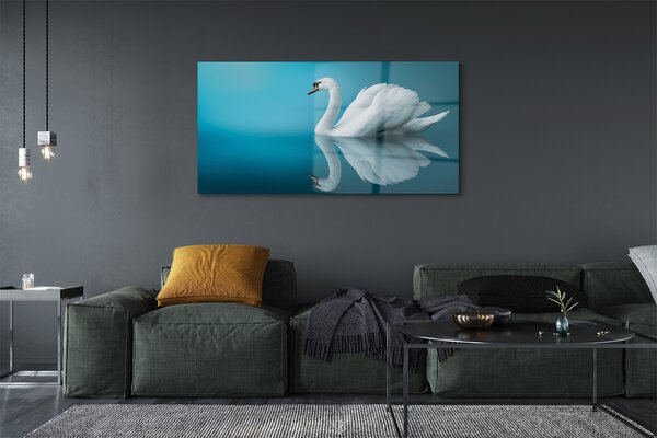 Tablouri pe sticlă Swan în apă