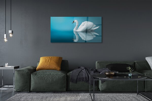 Tablouri pe sticlă Swan în apă