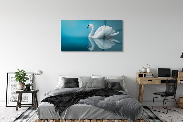 Tablouri pe sticlă Swan în apă