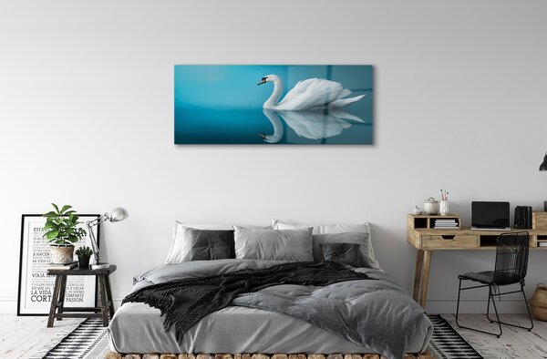 Tablouri pe sticlă Swan în apă