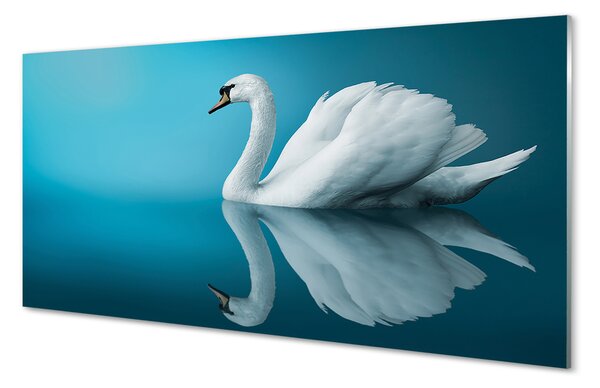 Tablouri pe sticlă Swan în apă