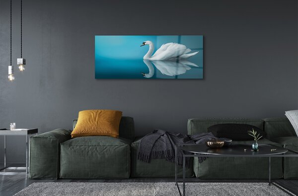 Tablouri pe sticlă Swan în apă