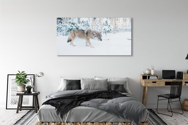 Tablouri pe sticlă pădure de iarnă Wolf