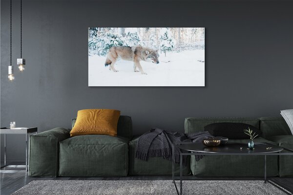 Tablouri pe sticlă pădure de iarnă Wolf