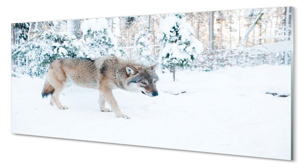 Tablouri pe sticlă pădure de iarnă Wolf