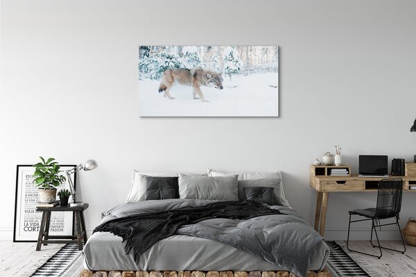 Tablouri pe sticlă pădure de iarnă Wolf