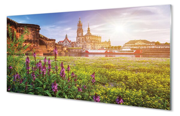 Tablouri pe sticlă Germania Sunrise River