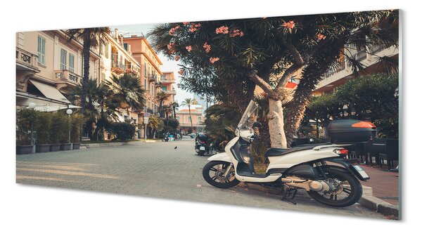Tablouri pe sticlă Motociclete urbane de palmier de vară
