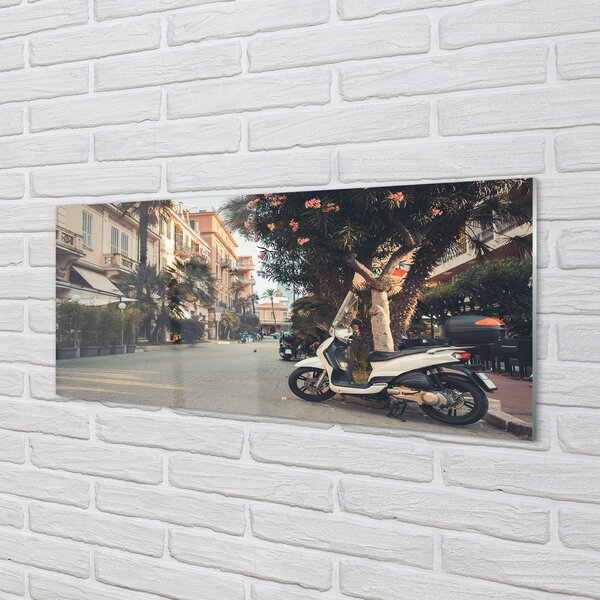 Tablouri pe sticlă Motociclete urbane de palmier de vară