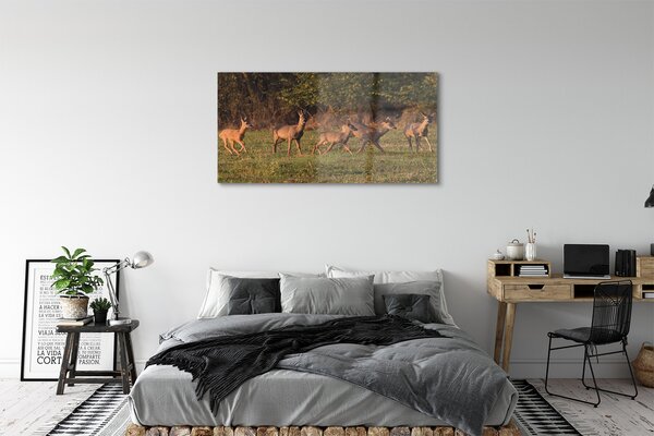 Tablouri pe sticlă Deer Golf răsărit de soare