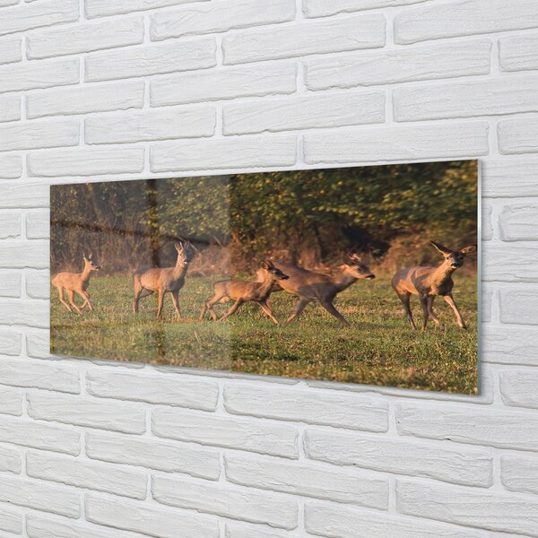 Panouri de sticlă Deer Golf răsărit de soare