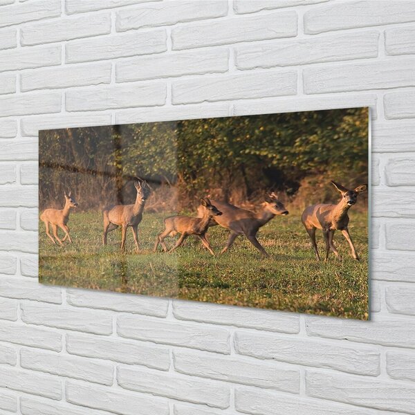 Tablouri pe sticlă Deer Golf răsărit de soare