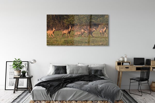 Tablouri pe sticlă Deer Golf răsărit de soare