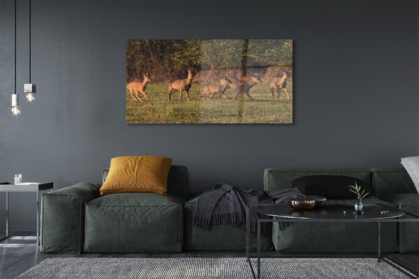 Tablouri pe sticlă Deer Golf răsărit de soare