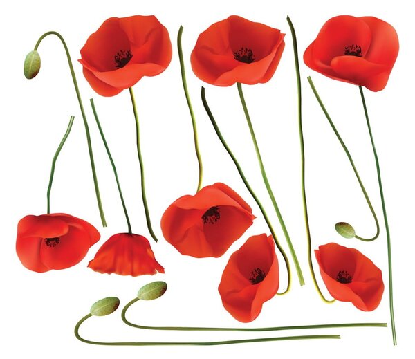 Set autocolante pentru perete Ambiance Vermeil Poppies, 60 x 70 cm
