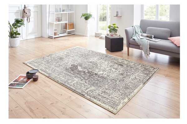 Covor Hanse Home Celebration Plume, 120x170 cm, gri-crem