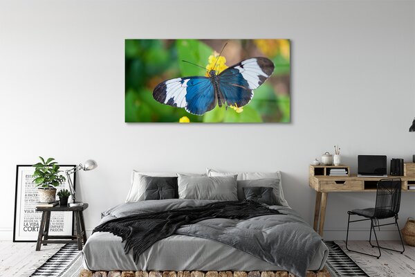 Tablouri pe sticlă fluture colorat pe flori