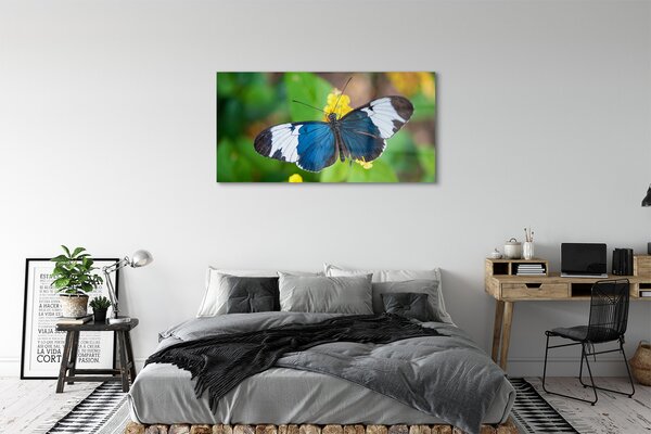 Tablouri pe sticlă fluture colorat pe flori