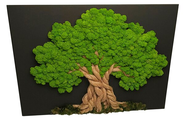 Copac de mușchi 60 x 90 cm
