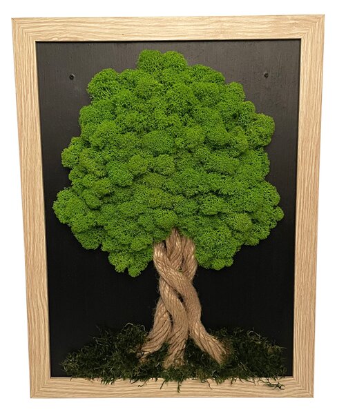 Tablou de mușchi în ramă maro deschis 34 x 44 cm