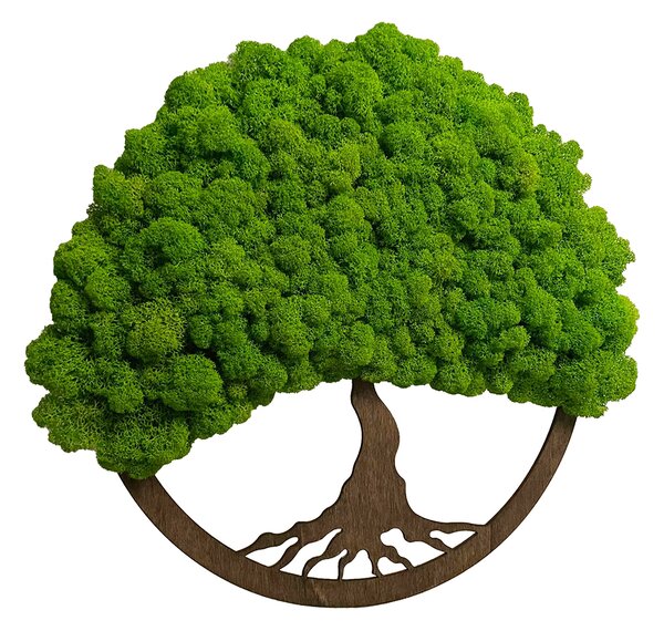 Moss copac de viață 30cm