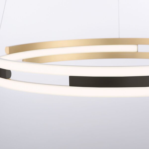 Q-Smart-Home Paul Neuhaus Q-Beluga lampă suspendată LED, alamă, reglabil, Auriu / Alamă, Camera de zi / sufragerie, Metal, Modern