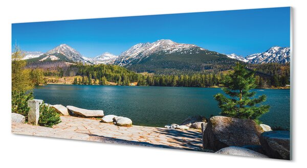 Panouri de sticlă lac de munte