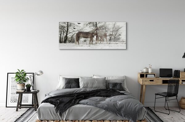Tablouri pe sticlă Iarna unicorni pădure