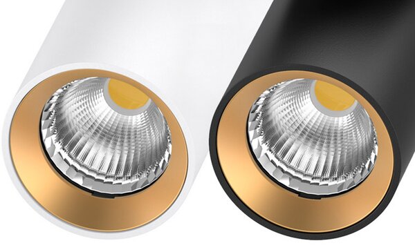 The Light Group SLC LED spot de încastrat ART, 2 becuri, alb, 3.000 K, aluminiu, reglabil, Alb, Camera de zi / sufragerie, Aluminiu, Modern